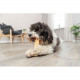 Ласощі Trixie Chewing cheese для собак, M: 13.5 см, 75 г