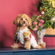 Сорочка Pet Fashion Соломія для собак дівчинка біла XS2