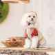 Сорочка Pet Fashion Соломія для собак дівчинка бежева XS2