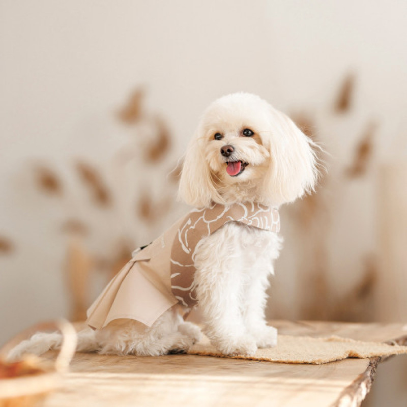 Сарафан Pet Fashion Lily для собак дівчинка бежевий М