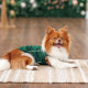 Борцівка Kale ТМ Pet Fashion для собак S зелена