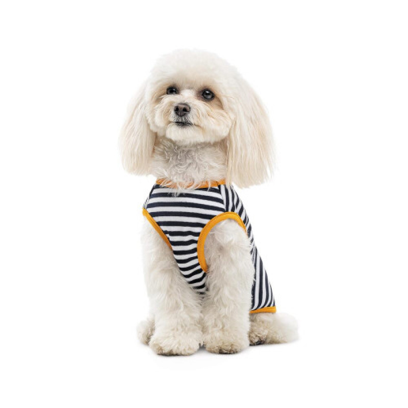 Борцівка Kale ТМ Pet Fashion для собак XXS смугаста
