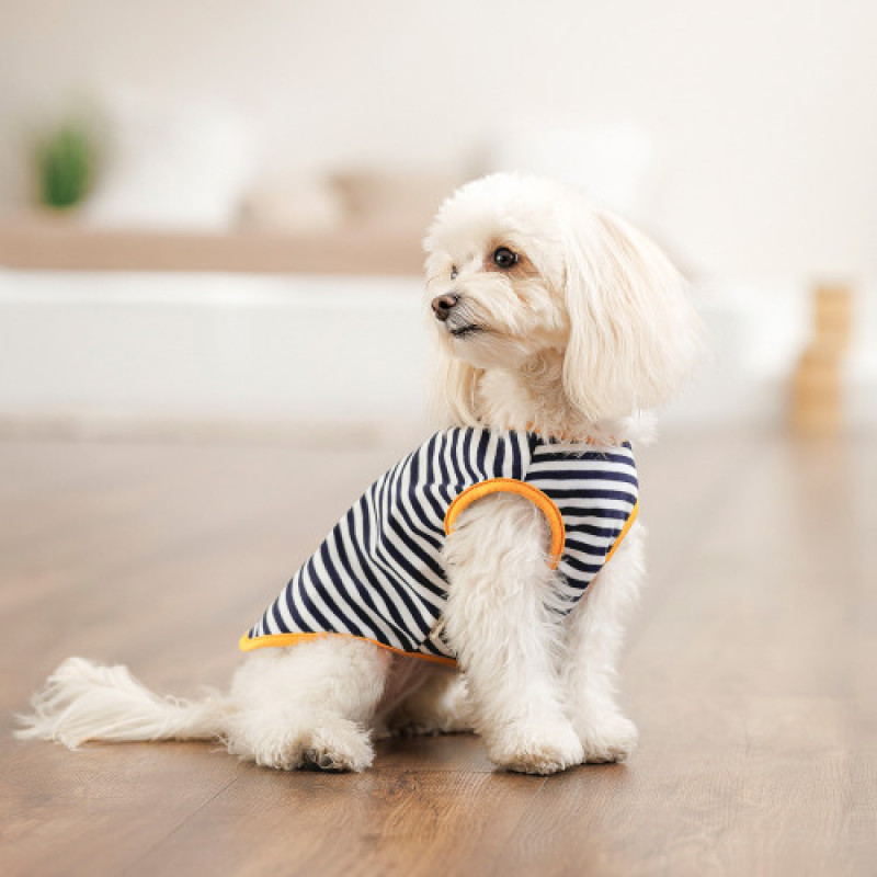 Борцівка Kale ТМ Pet Fashion для собак XXS смугаста