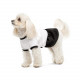 Сукня Chanti ТМ Pet Fashion для собак M білий/чорний