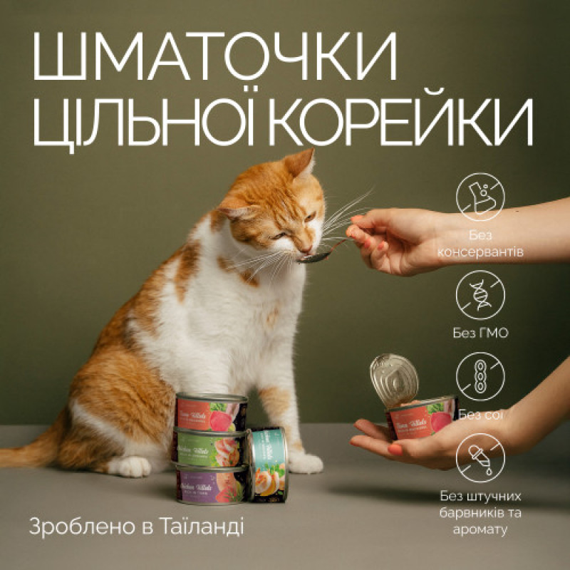 Корм вологий Savory Tuna Fillets rich in Mackerel in Jelly for Adult Cats філе тунця з макреллю в желе для дорослих котів, 70 г
