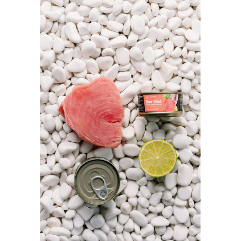 Корм вологий Savory Tuna Fillets rich in Mackerel in Jelly for Adult Cats філе тунця з макреллю в желе для дорослих котів, 70 г