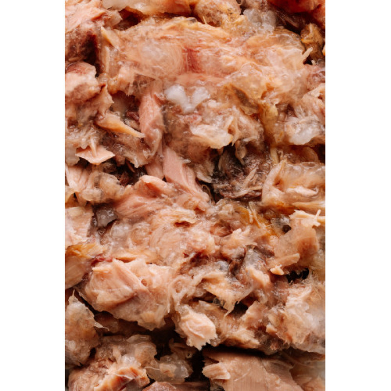 Корм вологий Savory Tuna Fillets rich in Mackerel in Jelly for Adult Cats філе тунця з макреллю в желе для дорослих котів, 70 г