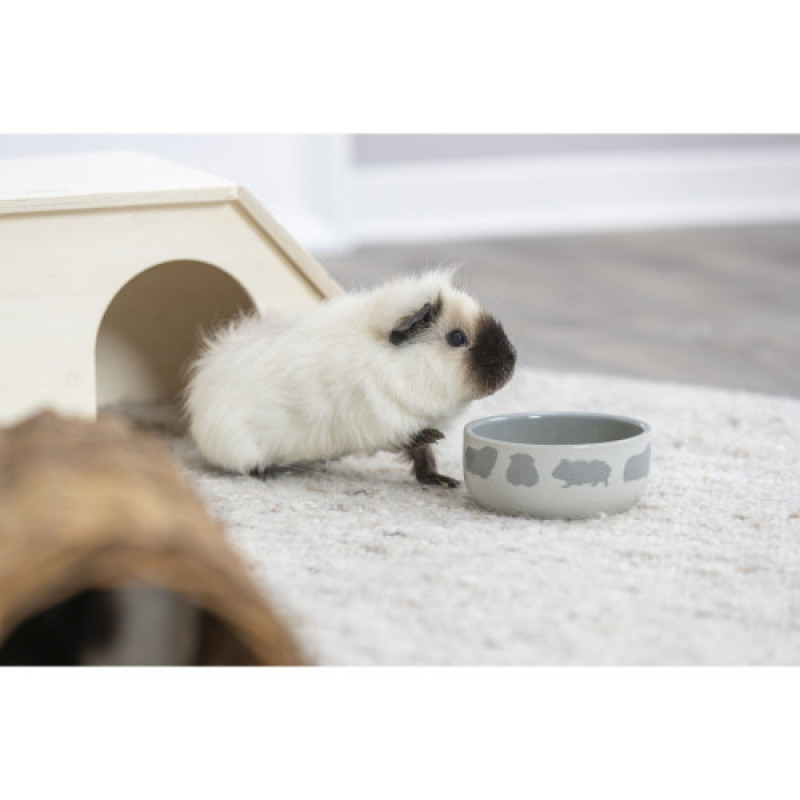 Миска Trixie для гризунів з принтом морська свинка керамічна 250 мл 11 см