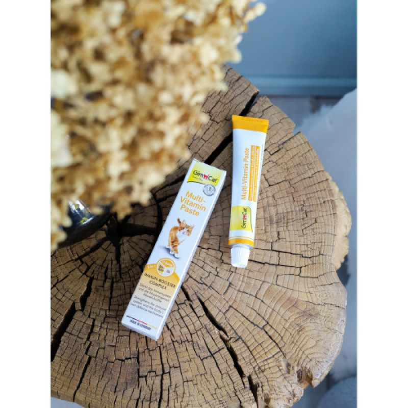 Вітаміни GimCat Every Day мультивітамінна паста для котів для покращення імунітета 100 г
