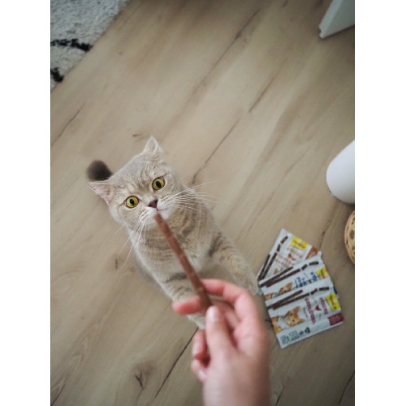 М’ясні палички GimCat для кішок, індичка та кролик, 4 шт